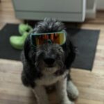 Profile photo of Eric Petry